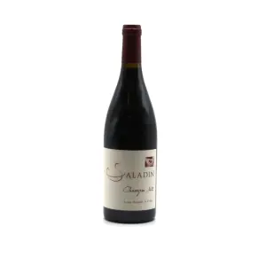 Chaveyron 1422 domaine saladin vin de france 2020 75cl