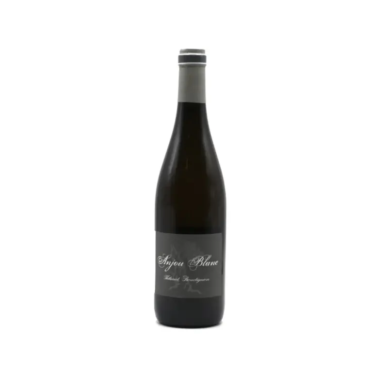 Anjou Blanc Thibaud Boudignon 2024 75cl Anjou Blanc Thibaud Boudignon 2024 75cl