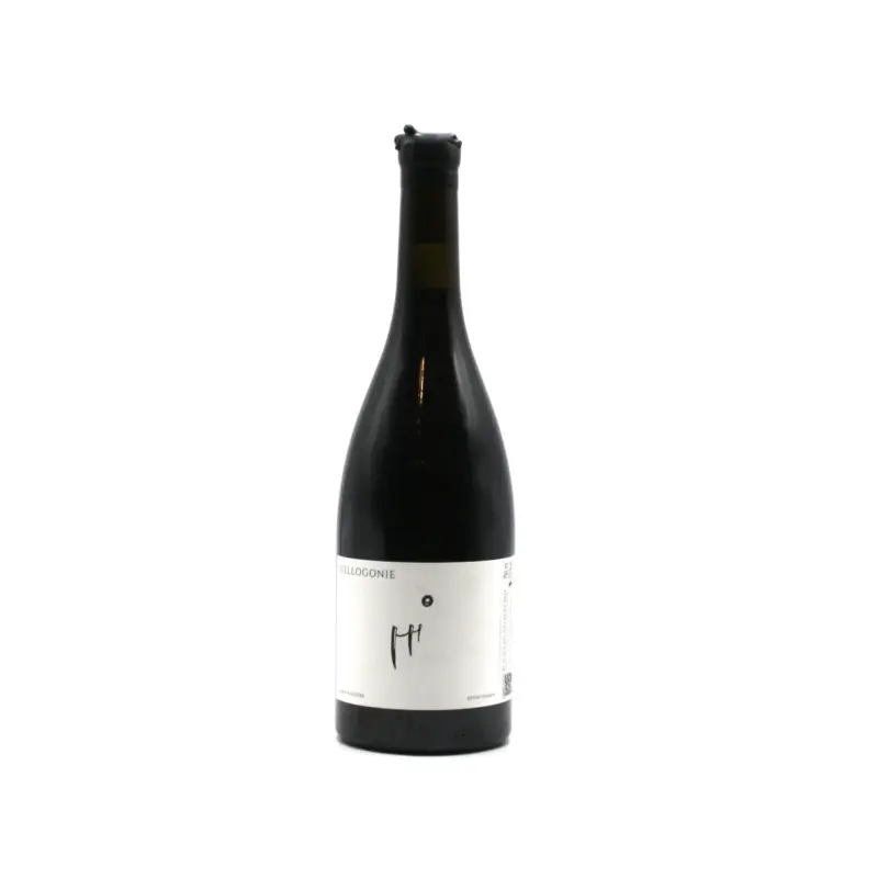 Beaujolais Villages Stéllogonie 2024 Domaine Azzara Beaujolais Villages Stéllogonie 2024 Domaine Azzara